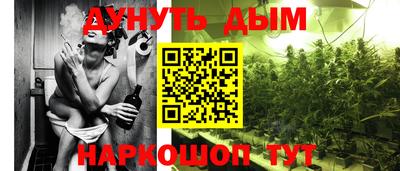 сатива Волжский