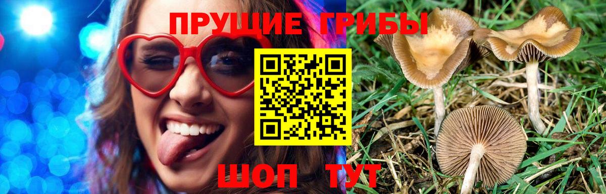 Галлюциногенные грибы мухоморы  Вход с VPN  Арсеньев  Псилоцибиновые грибы ЛСД 
